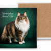 Podkładka ceramiczna, kwadratowa - Koty Norwegian Forest Cat (CARMANI)
