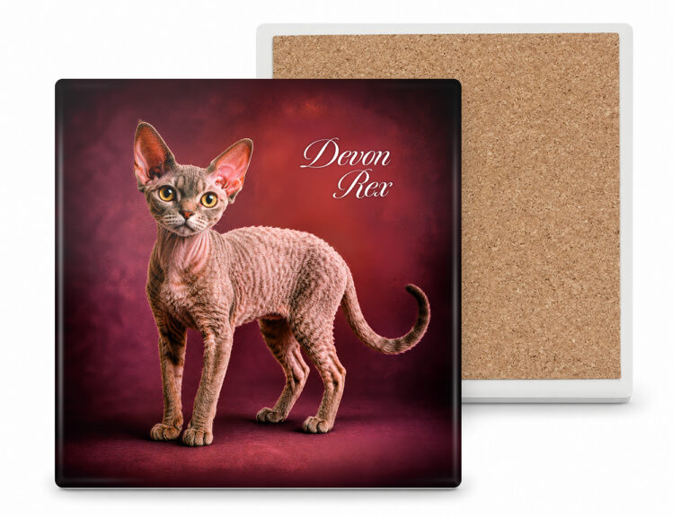 Podkładka ceramiczna, kwadratowa - Koty Devon Rex (CARMANI)