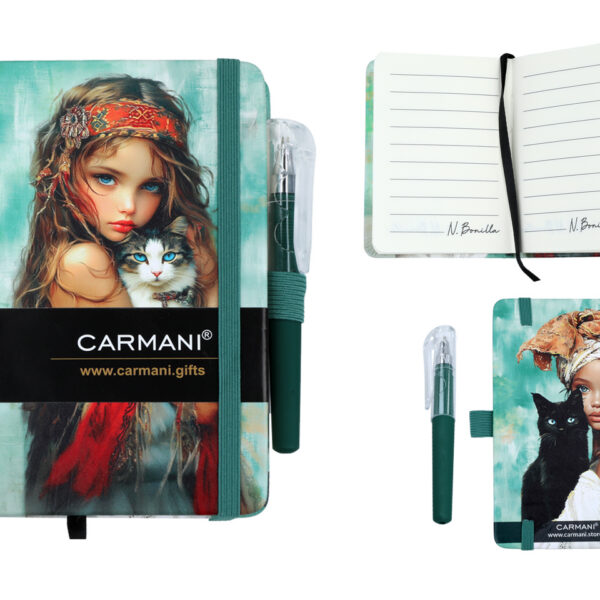 Notes A6 - N. Bonilla (CARMANI)