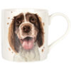 Kubek - Springer Spaniel