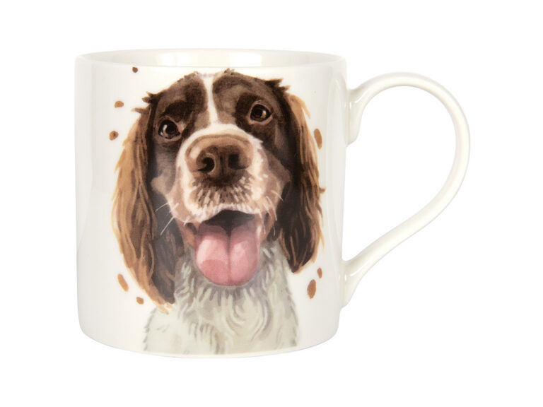 Kubek - Springer Spaniel