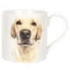 Kubek - Golden Labrador